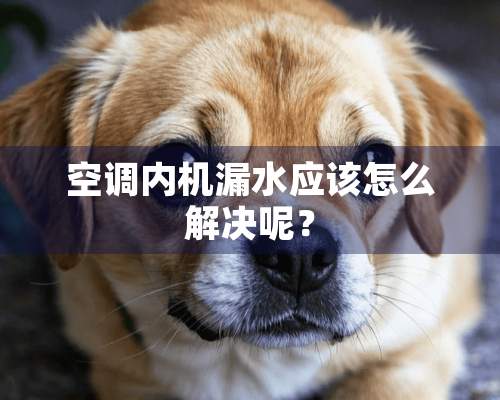 空调内机漏水应该怎么解决呢？