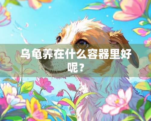 乌龟养在什么容器里好呢？