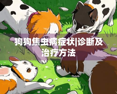 狗狗焦虫病症状|诊断及治疗方法