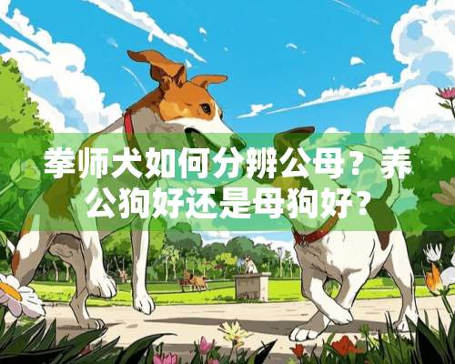 拳师犬如何分辨公母？养公狗好还是母狗好？