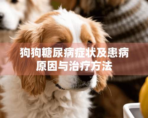 狗狗糖尿病症状及患病原因与治疗方法