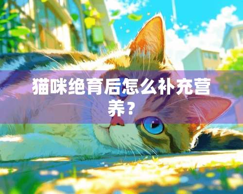 猫咪绝育后怎么补充营养？