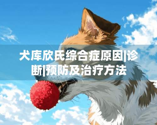 犬库欣氏综合症原因|诊断|预防及治疗方法