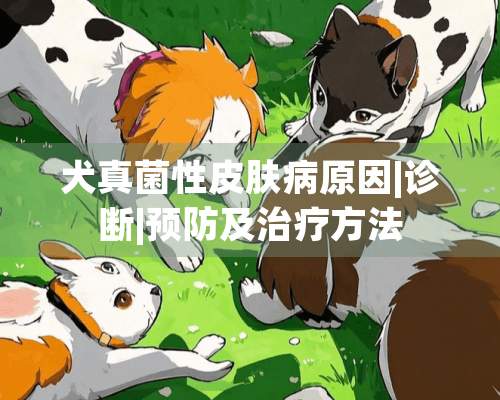 犬真菌性皮肤病原因|诊断|预防及治疗方法