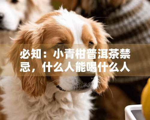 必知：小青柑普洱茶禁忌，什么人能喝什么人不宜喝