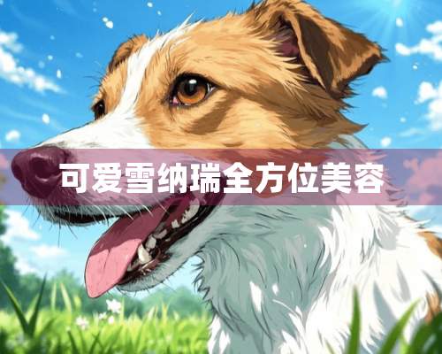 可爱雪纳瑞全方位美容