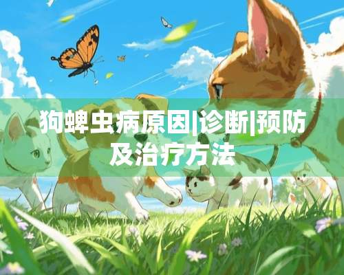 狗蜱虫病原因|诊断|预防及治疗方法