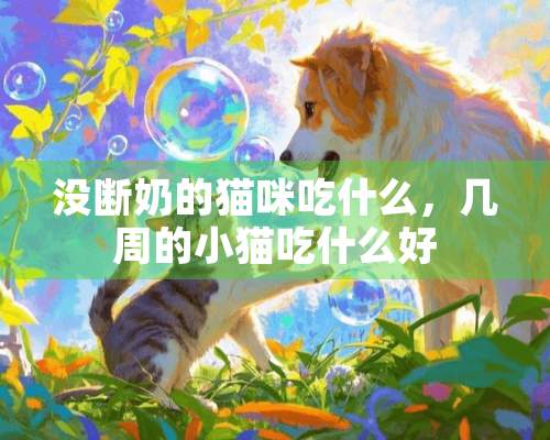 没断奶的猫咪吃什么，几周的小猫吃什么好