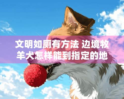 文明如厕有方法 边境牧羊犬怎样能到指定的地点去排泄