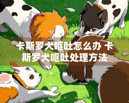 卡斯罗犬呕吐怎么办 卡斯罗犬呕吐处理方法