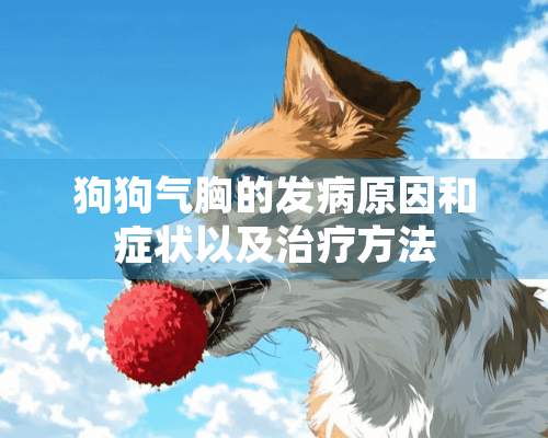 狗狗气胸的发病原因和症状以及治疗方法