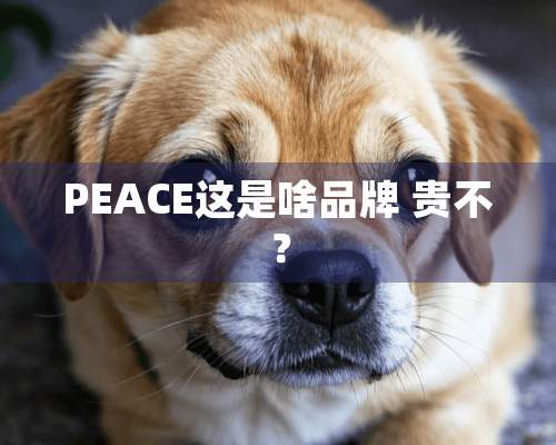 PEACE这是啥品牌 贵不？