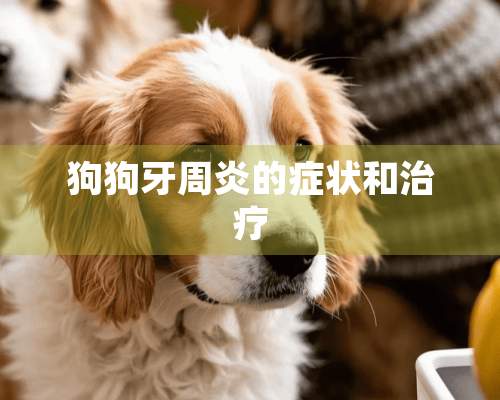 狗狗***的症状和治疗