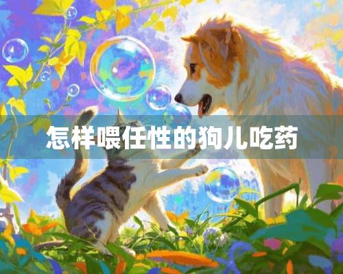 怎样喂任性的狗儿吃药