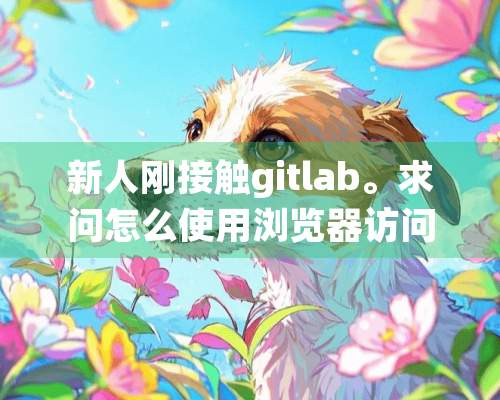 新人刚接触gitlab。求问怎么使用浏览器访问GitLab