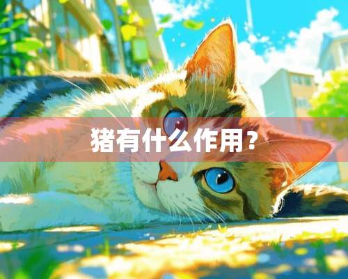 猪有什么作用？