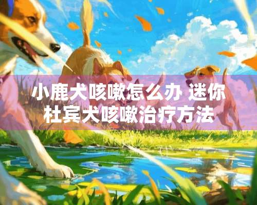 小鹿犬咳嗽怎么办 迷你杜宾犬咳嗽治疗方法