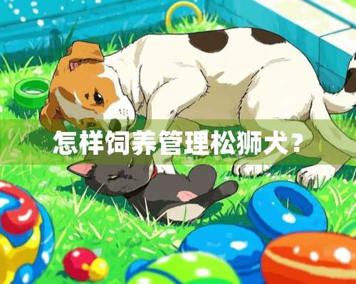 怎样饲养管理松狮犬？