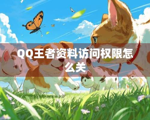 QQ王者资料访问权限怎么关