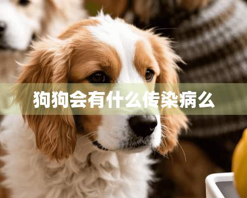 狗狗会有什么传染病么