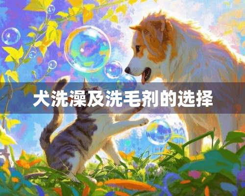 犬洗澡及洗毛剂的选择