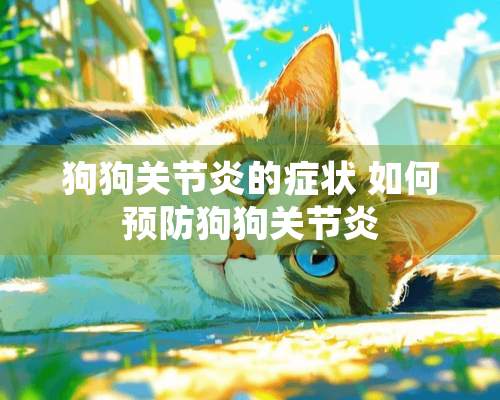 狗狗关节炎的症状 如何预防狗狗关节炎