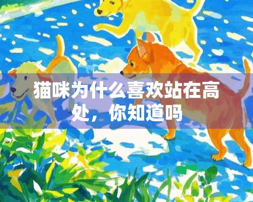 猫咪为什么喜欢站在高处，你知道吗