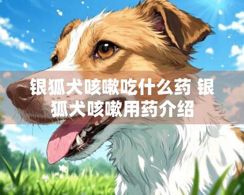 银狐犬咳嗽吃什么药 银狐犬咳嗽用药介绍