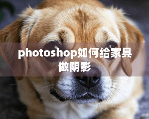 photoshop如何给家具做*影