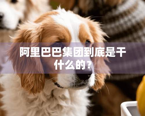 阿里巴巴集团到底是干什么的？