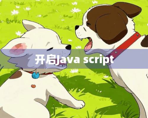 开启Java script