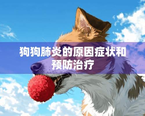 狗狗肺炎的原因症状和预防治疗