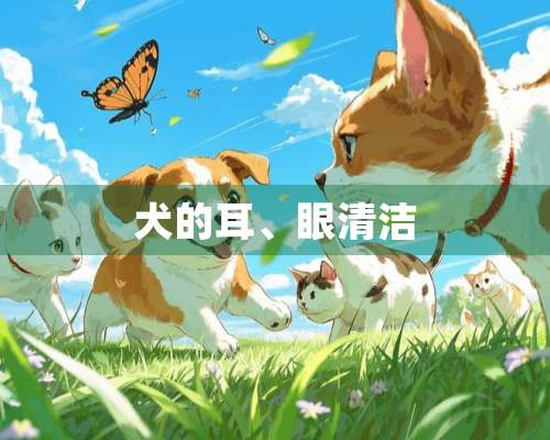 犬的耳、眼清洁