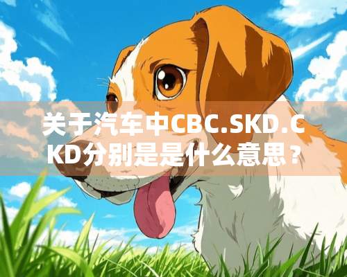 关于汽车中CBC.SKD.CKD分别是是什么意思？