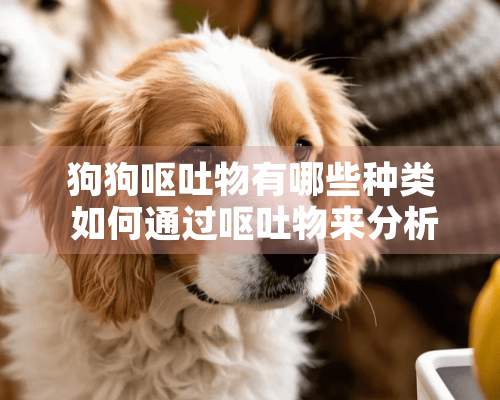 狗狗呕吐物有哪些种类 如何通过呕吐物来分析原因