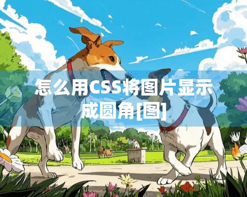 怎么用CSS将图片显示成圆角[图]