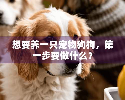 想要养一只宠物狗狗，第一步要做什么？