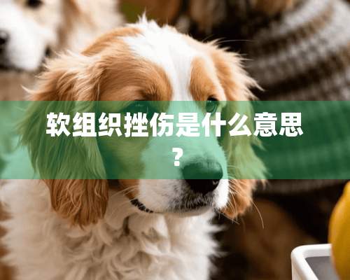 软组织挫伤是什么意思？