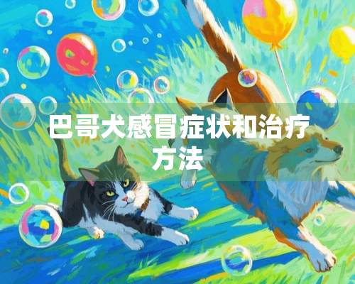 巴哥犬感冒症状和治疗方法