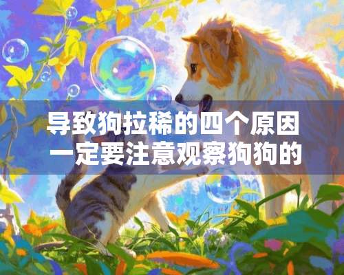 导致狗拉稀的四个原因 一定要注意观察狗狗的状况