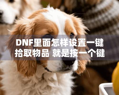 DNF里面怎样设置一键拾取物品 就是按一个键那些东西都在你的脚下？？？求解