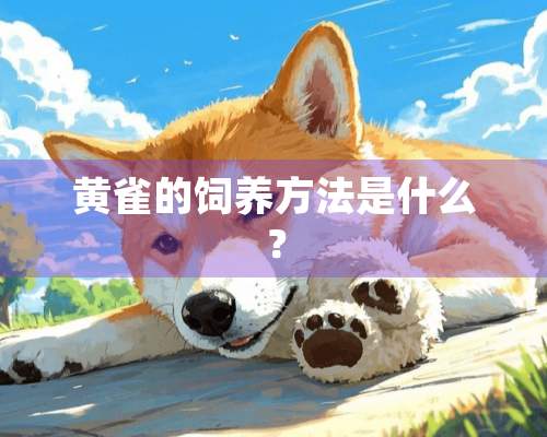 黄雀的饲养方法是什么？