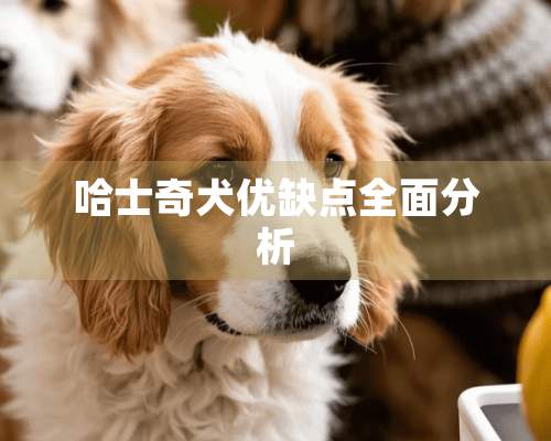 哈士奇犬优缺点全面分析