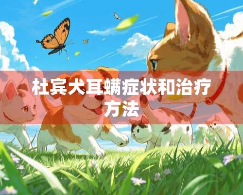 杜宾犬耳螨症状和治疗方法