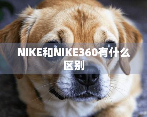 NIKE和NIKE360有什么区别