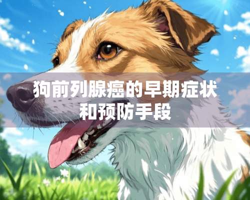 狗前列腺癌的早期症状和预防手段