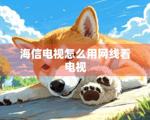 海信电视怎么用网线看电视