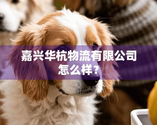 嘉兴华杭物流有限公司怎么样？