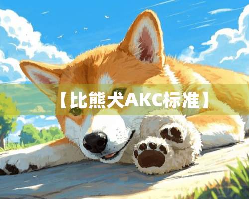 【比熊犬AKC标准】