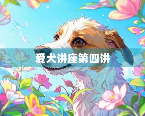 爱犬讲座第四讲